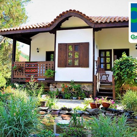 Golden Horn Guest House Iskrets 外观 照片